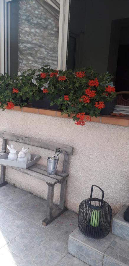 Bed and Breakfast Cote Jardin Périgueux Esterno foto
